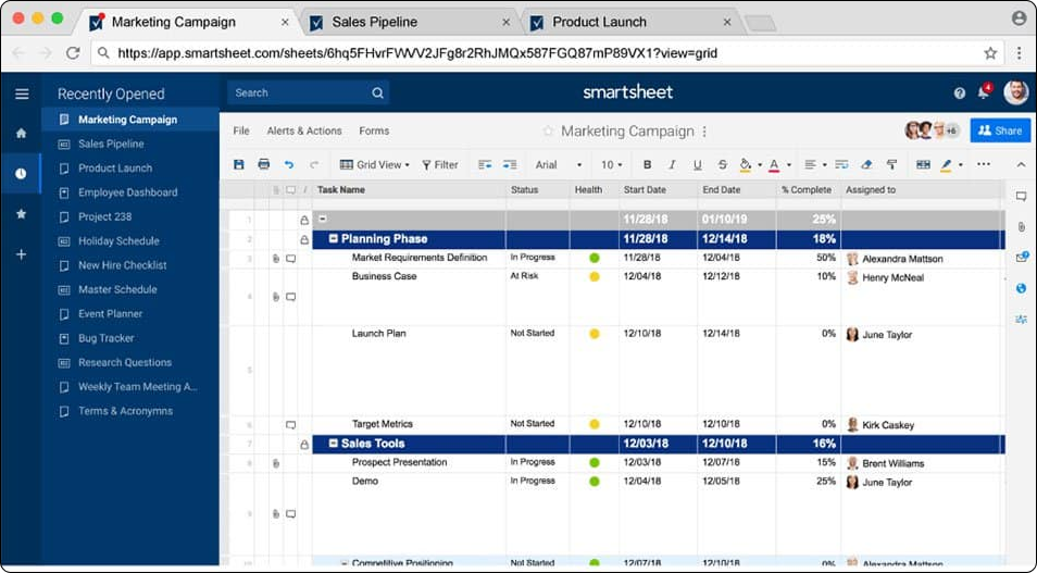  Smartsheet project view