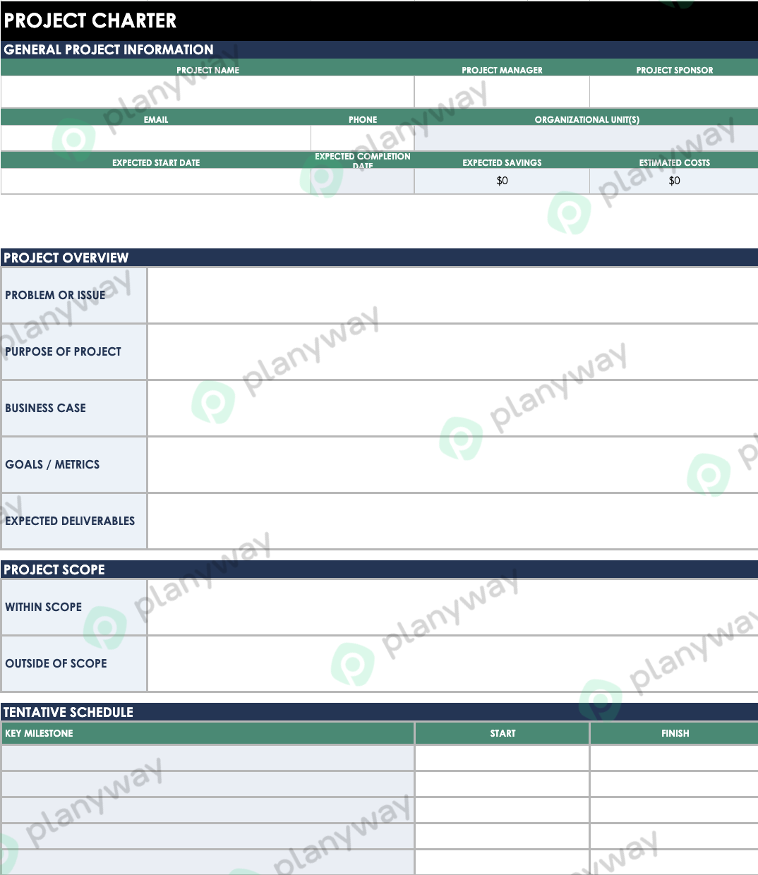 Standard project charter template layout for business planning and initialization.